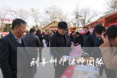 刑事辩护律师团队/2023033125038