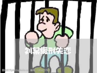 刘某缓刑失恋/2023120582616