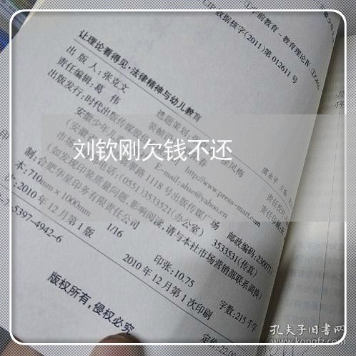 刘钦刚欠钱不还/2023111487378