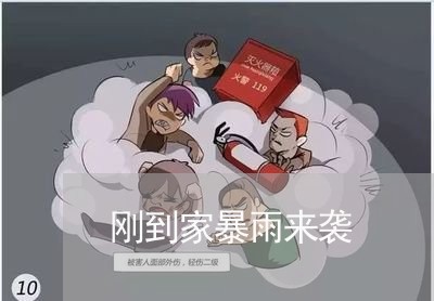 刚到家暴雨来袭/2023090894069