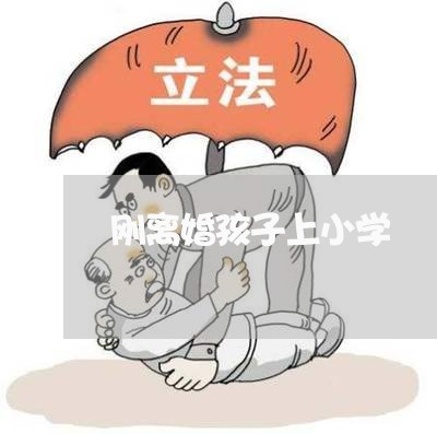 刚离婚孩子上小学/2023092674834