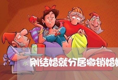 刚结婚就分居撤销婚姻/2023112516158