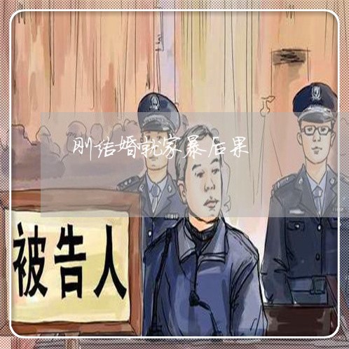 刚结婚就家暴后果/2023101665928