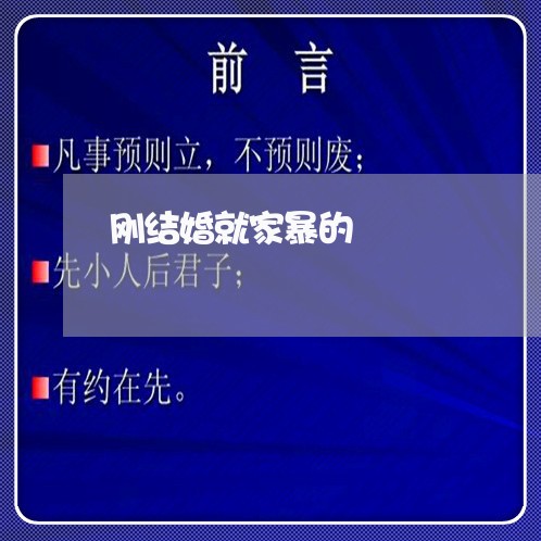 刚结婚就家暴的/2023090824957