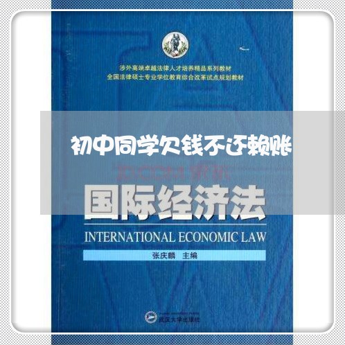 初中同学欠钱不还赖账/2023092151692