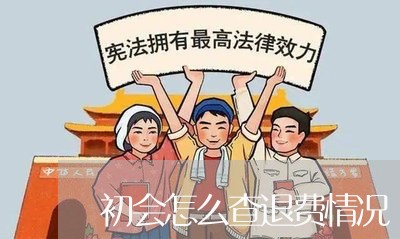 初会怎么查退费情况/2023061777572