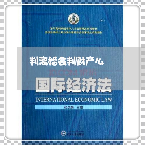 判离婚会判财产么/2023100284726