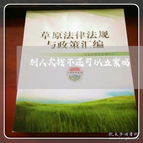 别人欠钱不还可以立案吗/2023112443047