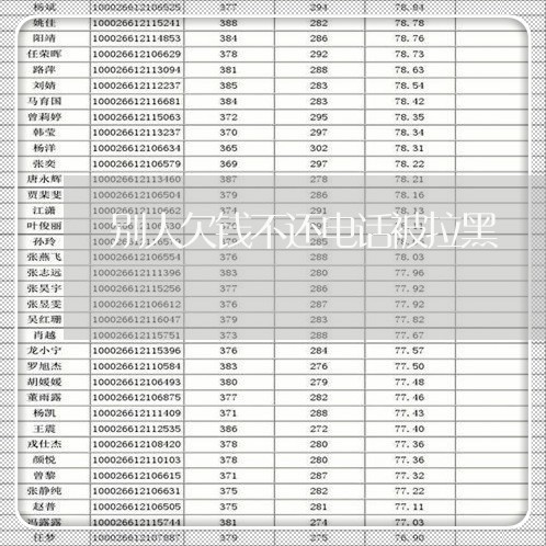 别人欠钱不还电话被拉黑/2023112562584