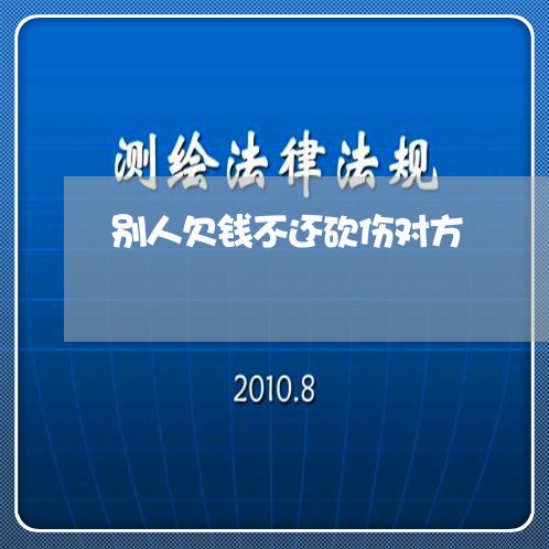 别人欠钱不还砍伤对方/2023111624270