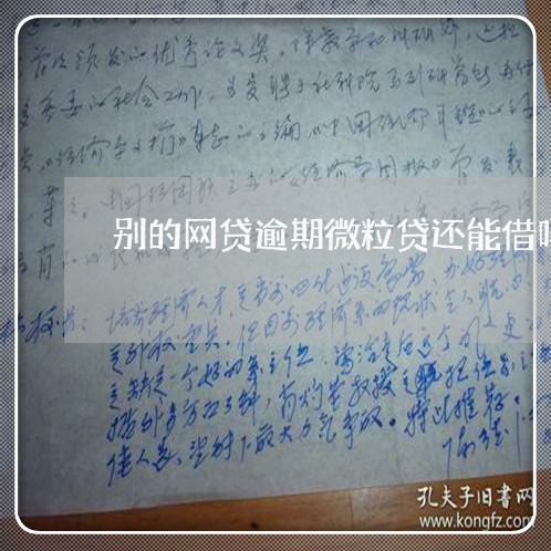 别的网贷逾期微粒贷还能借吗/2023072453794