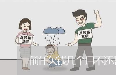 前任欠钱几个月不还怎么办/2023110838270