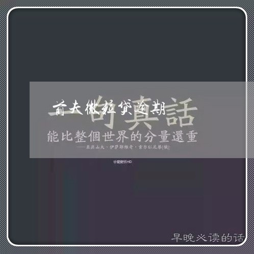 前夫微粒贷逾期/2023072395249