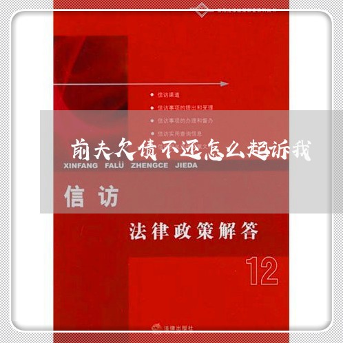 前夫欠债不还怎么起诉我/2023111762717