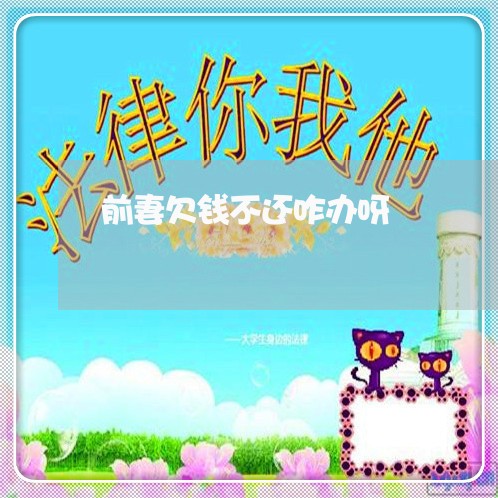 前妻欠钱不还咋办呀/2023111561614