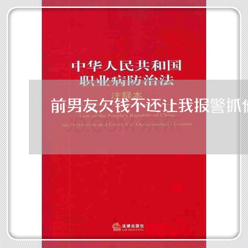 前男友欠钱不还让我报警抓他/2023110752825