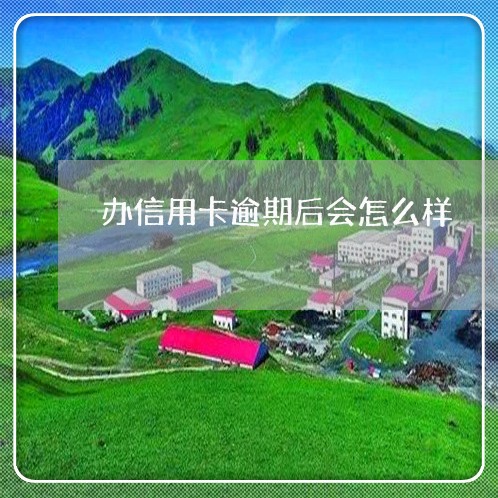 办信用卡逾期后会怎么样/2023060324159