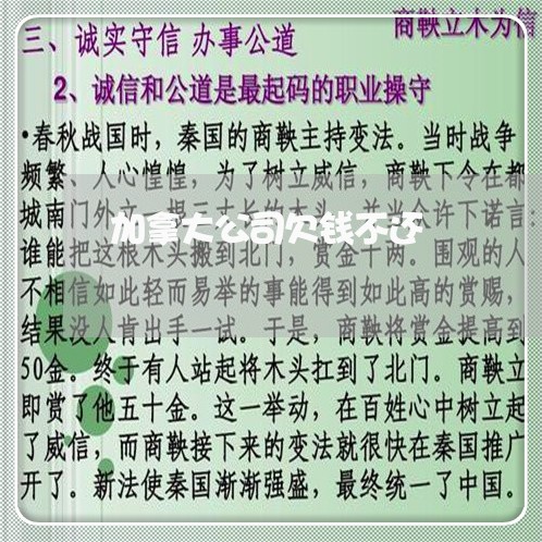 加拿大公司欠钱不还/2023091555704