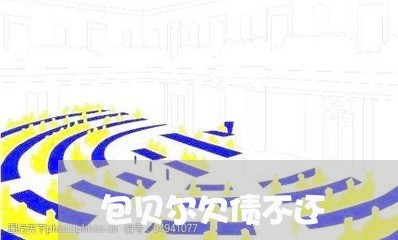 包贝尔欠债不还/2023111170693