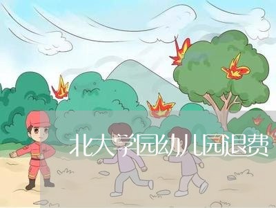 北大学园幼儿园退费/2023061129371