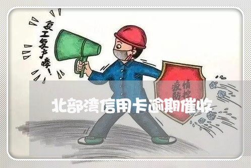 北部湾信用卡逾期催收/2023070760471