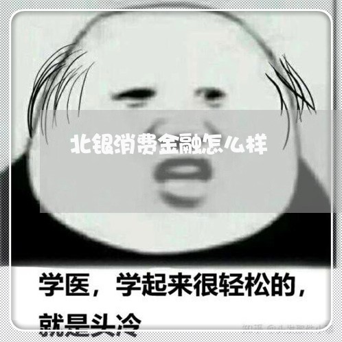 北银消费金融怎么样/2023031597584