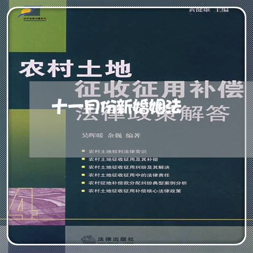 十一月份新婚姻法/2023112406368