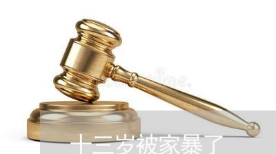 十三岁被家暴了/2023091425837