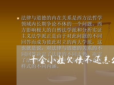 千金小姐欠债不还怎么办/2023120437170