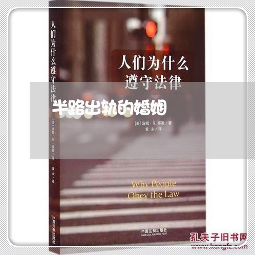 半路出轨的婚姻/2023090671915