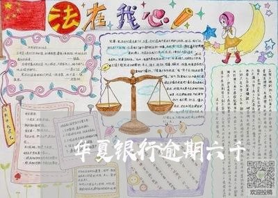 华夏银行逾期六千/2023062844024