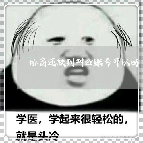 协商还款到对公账号可以吗/2023100711717