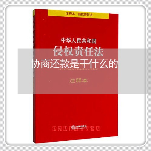 协商还款是干什么的/2023100680694