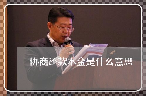 协商还款本金是什么意思/2023092436137