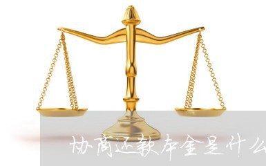 协商还款本金是什么意思/2023100531714