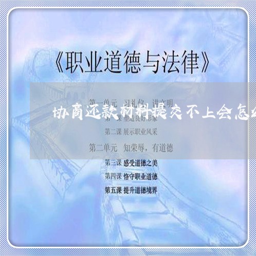 协商还款材料提交不上会怎么样/2023100793936