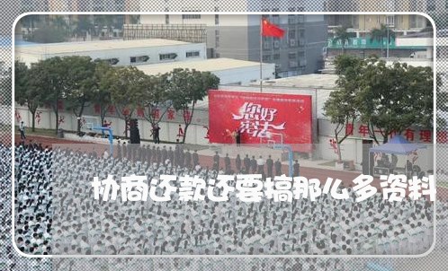 协商还款还要搞那么多资料/2023092502036