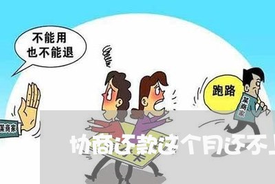 协商还款这个月还不上怎么办/2023100773935