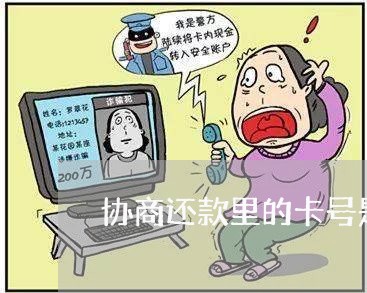 协商还款里的卡号是什么卡/2023100661782