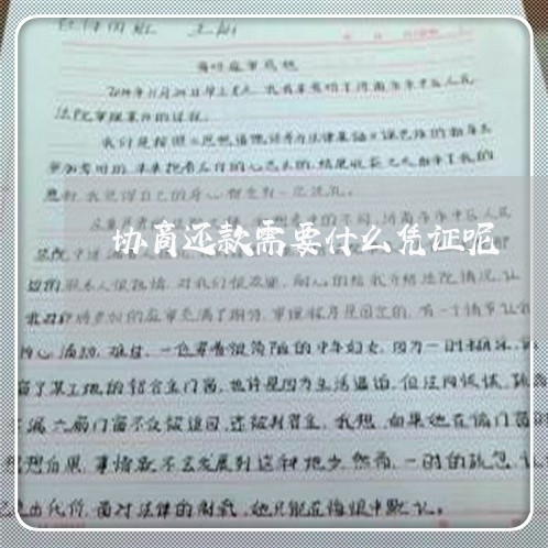 协商还款需要什么凭证呢/2023092496030