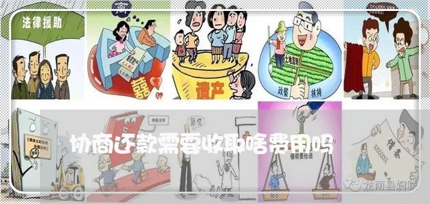 协商还款需要收取啥费用吗/2023092461501