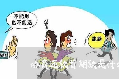 协商还款首期款是什么/2023092539260