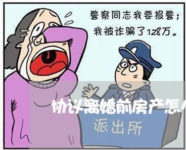 协议离婚前房产怎么分割的/2023111483926