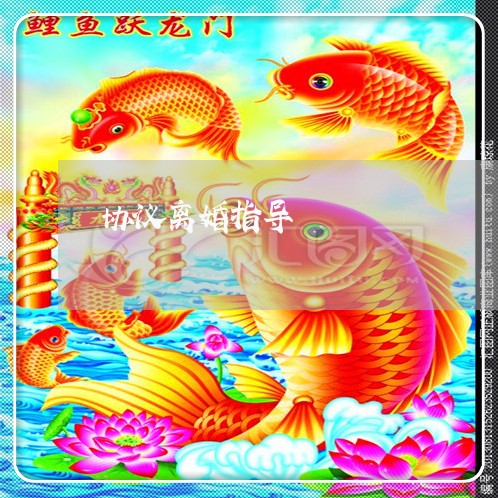 协议离婚指导/2023111474029