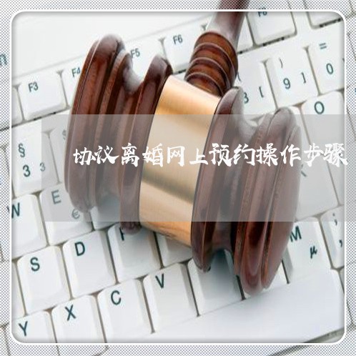 协议离婚网上预约操作步骤/2023111427059