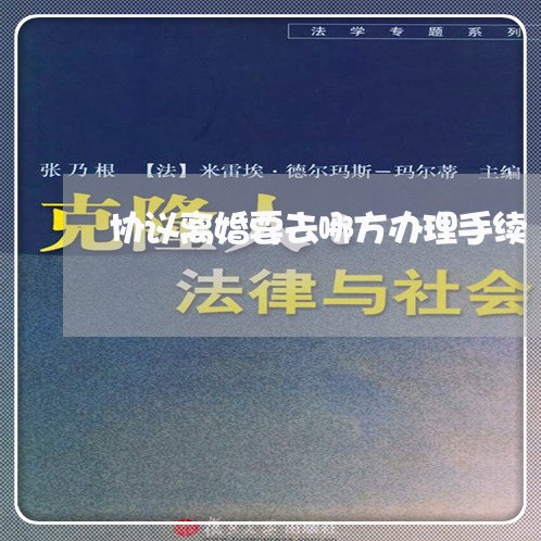 协议离婚要去哪方办理手续/2023111461482