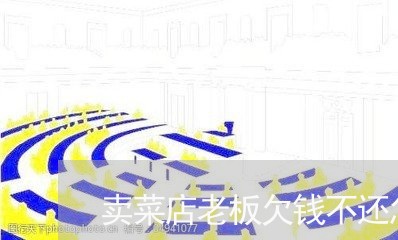 卖菜店老板欠钱不还怎么办/2023111016835