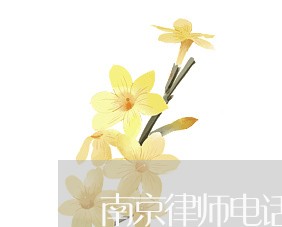 南京律师电话号码多少/2023033114350