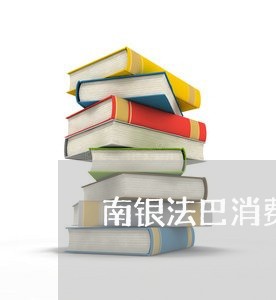 南银法巴消费金融叫我还款/2023032608151