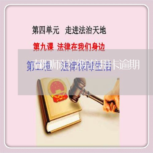 南阳师范学院信用卡逾期/2023051115940